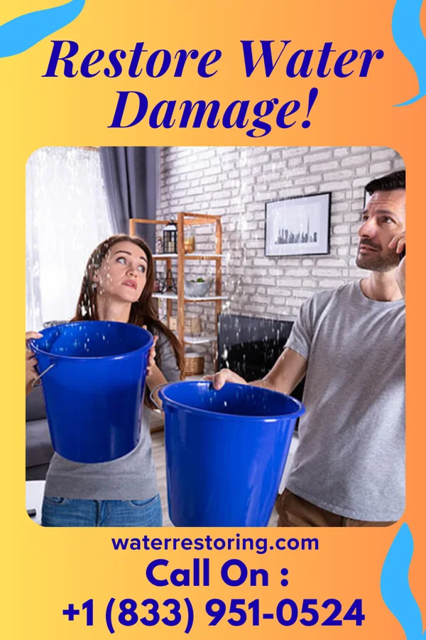 water restoration Quality Water Damage Group Port St. Joe